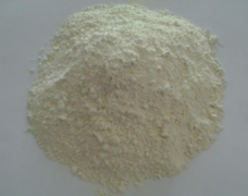 生物環(huán)境下氧化鋅納米材料的轉化